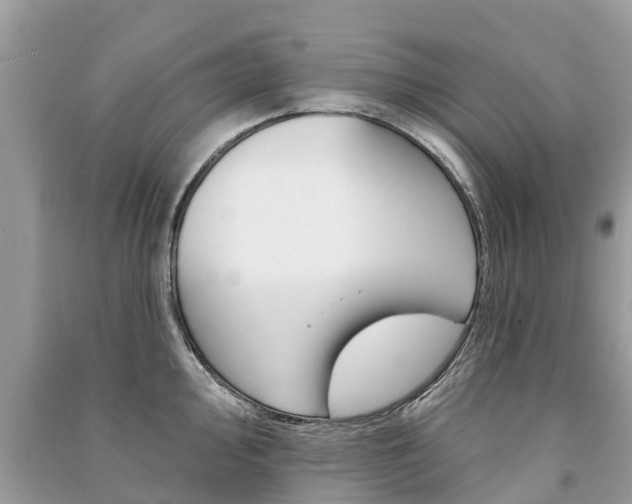 X0000091291000200708101022