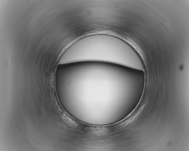 X0000091291001200708101022