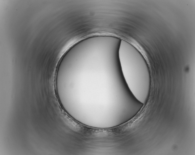 X0000091291002200708101022