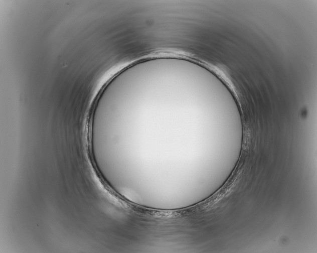 X0000091291003200708101022