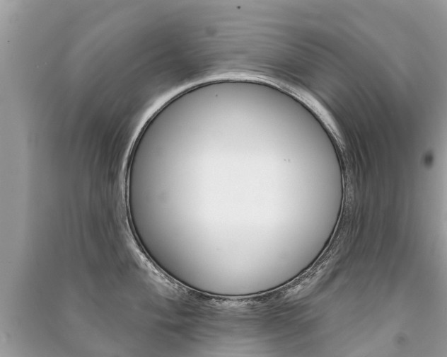 X0000091291004200708101022