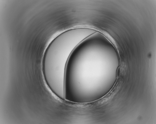 X0000091291005200708101022