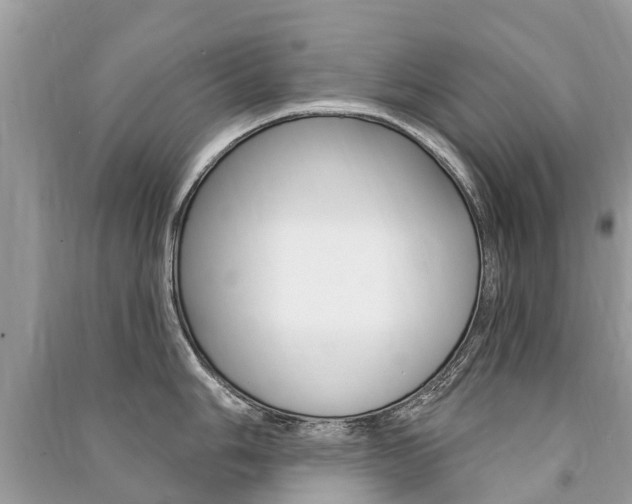 X0000091291006200708101022