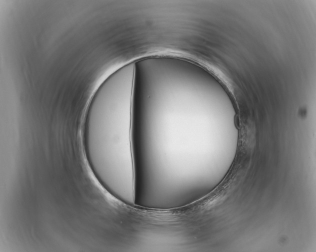 X0000091291007200708101022