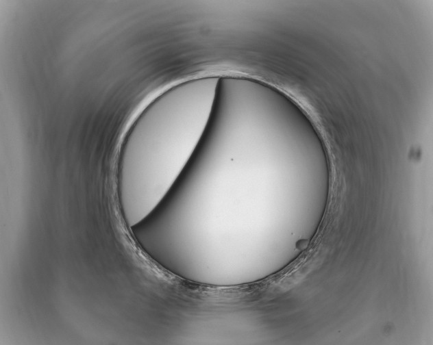 X0000091291008200708101022