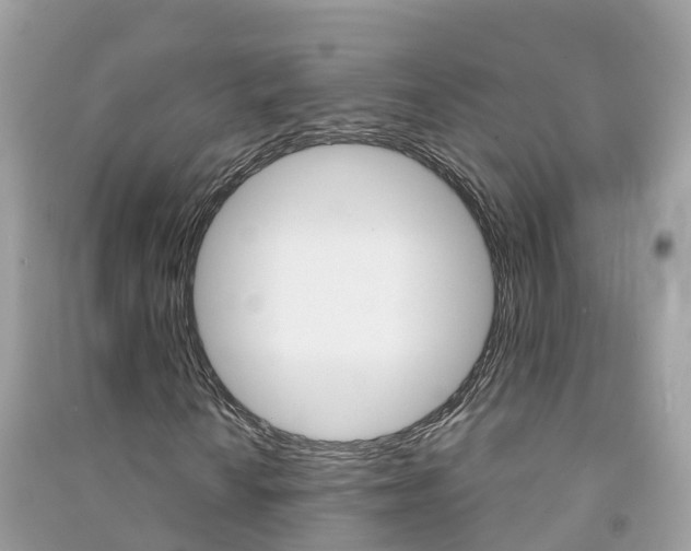 X0000091291010200708101021