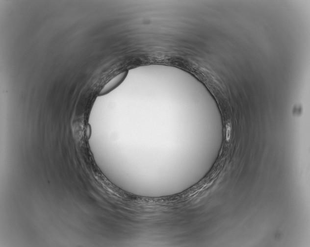X0000091291011200708101021