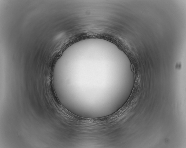 X0000091291012200708101021