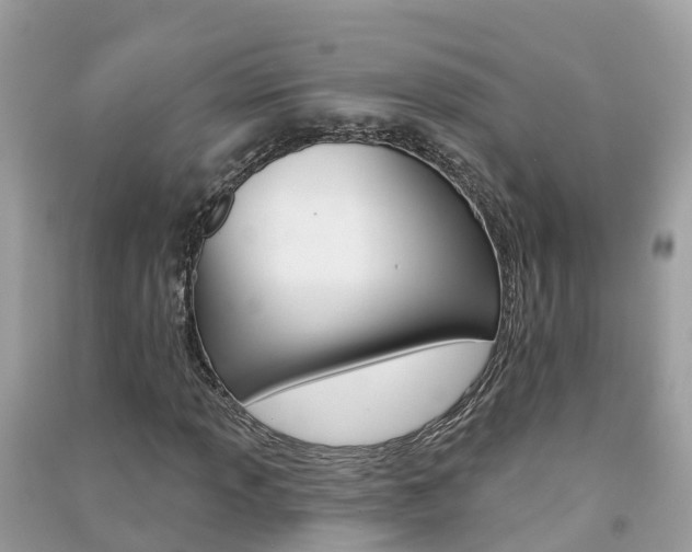 X0000091291013200708101021