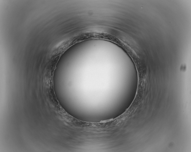X0000091291014200708101021