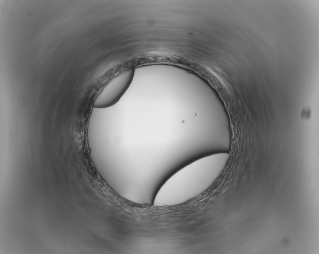 X0000091291015200708101021