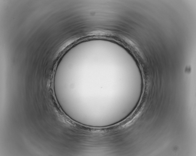 X0000091291017200708101021