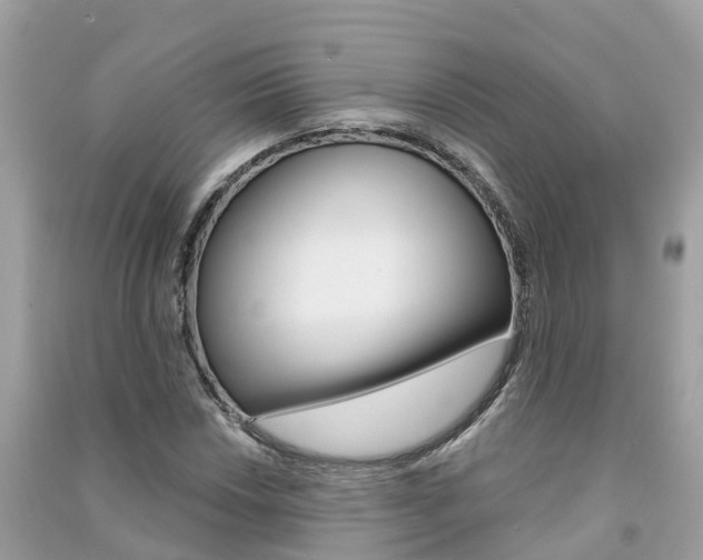 X0000091291018200708101021