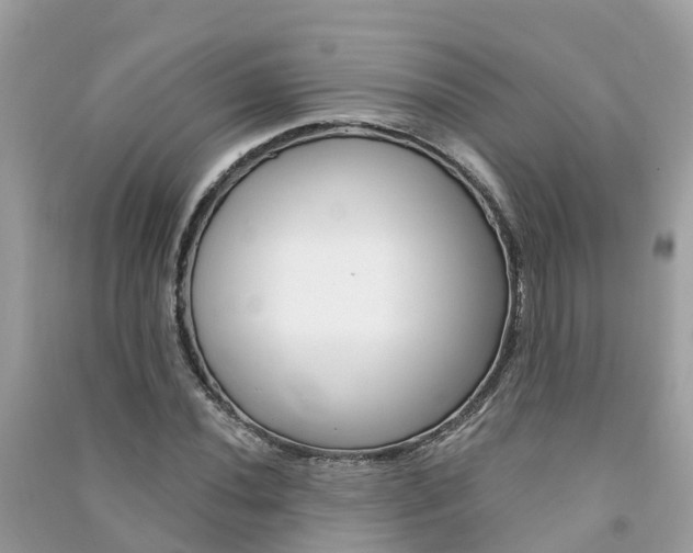 X0000091291020200708101021