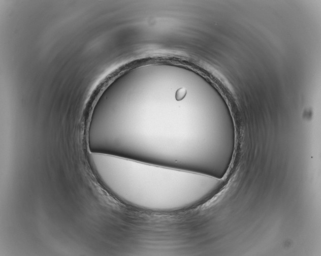 X0000091291021200708101021