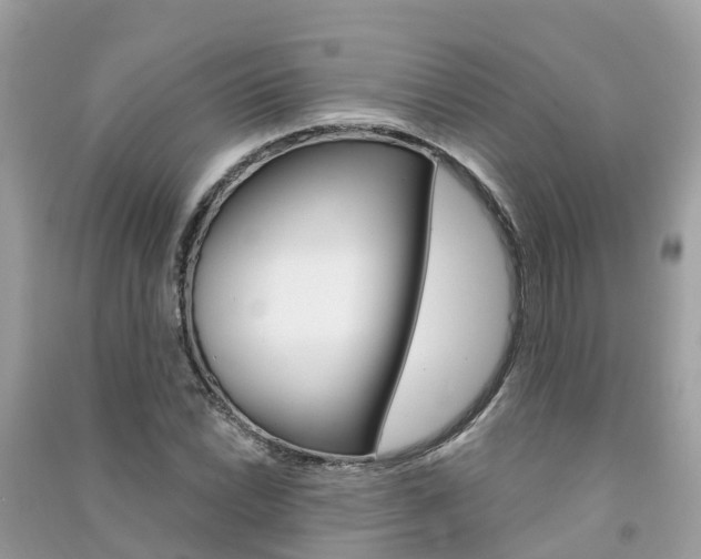 X0000091291022200708101021