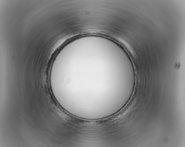 X0000091291023200708101021