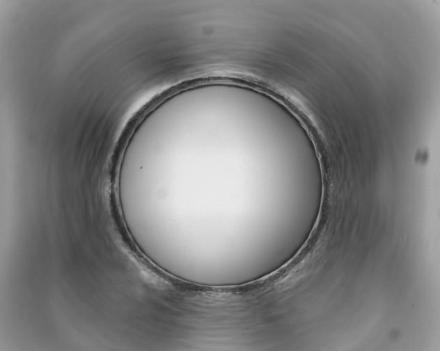 X0000091291024200708101021