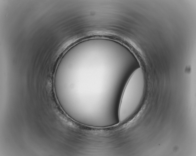 X0000091291025200708101021