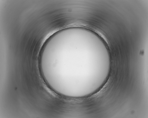 X0000091291026200708101021