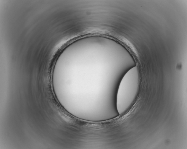 X0000091291027200708101021