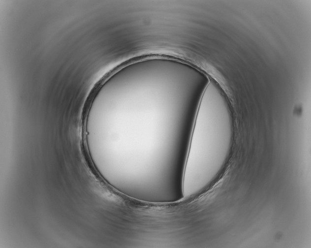 X0000091291028200708101021