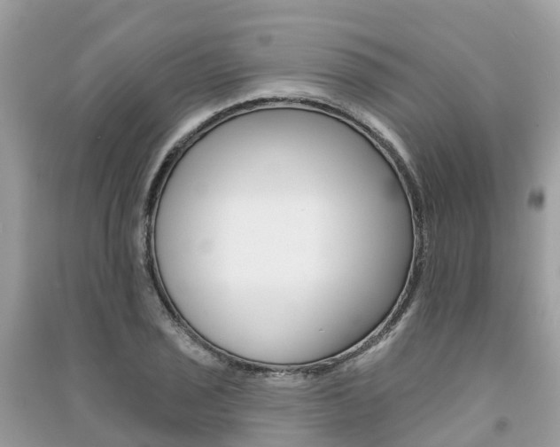 X0000091291029200708101021