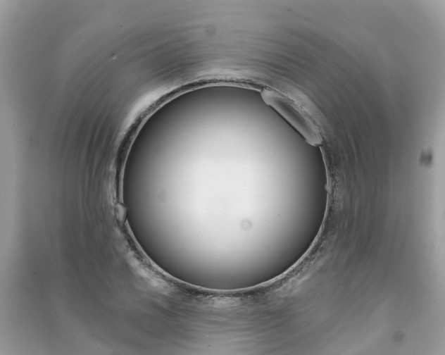 X0000091291030200708101021