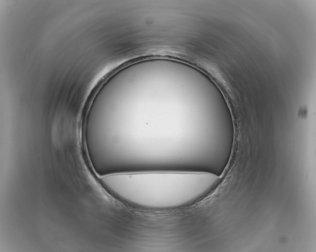 X0000091291032200708101022