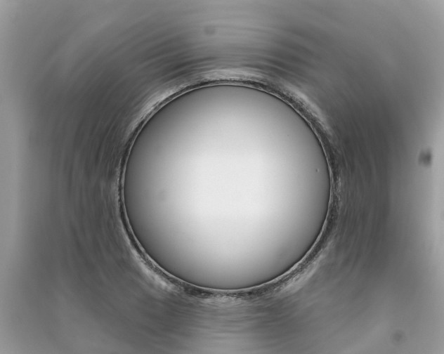 X0000091291033200708101022