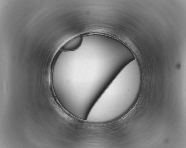 X0000091291036200708101022
