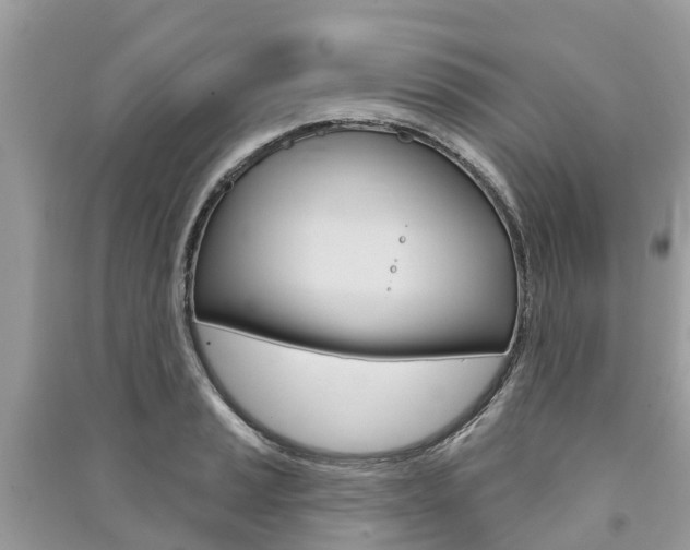 X0000091291037200708101022