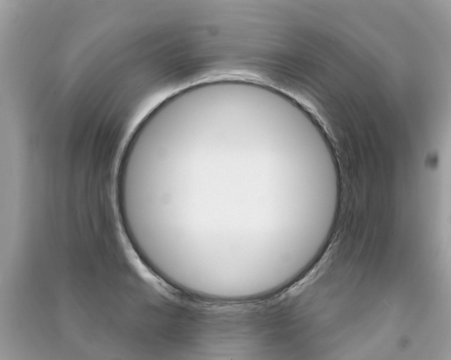 X0000091291038200708101022