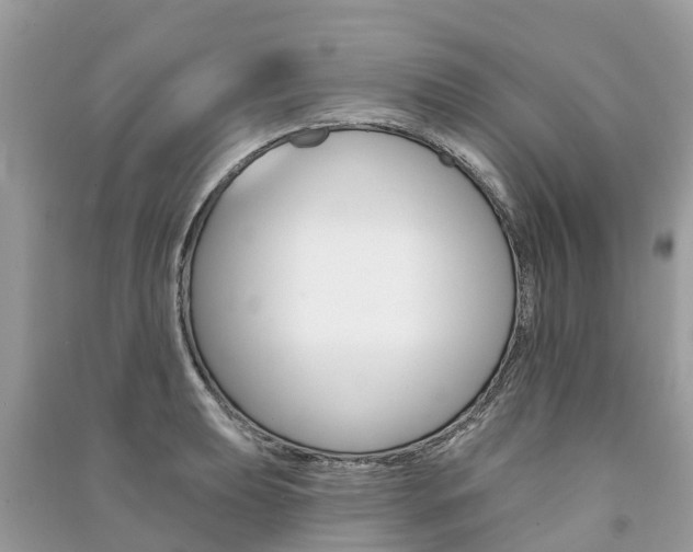 X0000091291039200708101022
