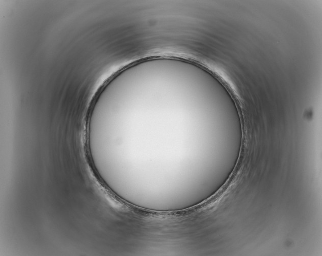 X0000091291040200708101022