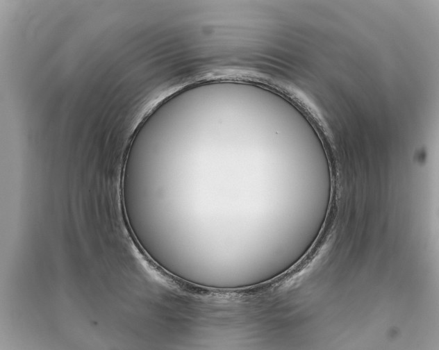 X0000091291041200708101022