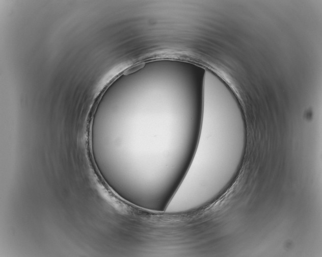 X0000091291042200708101022