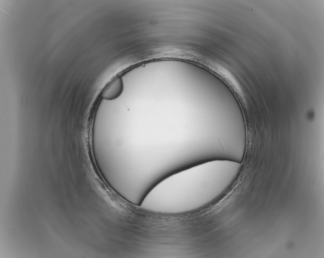 X0000091291043200708101022