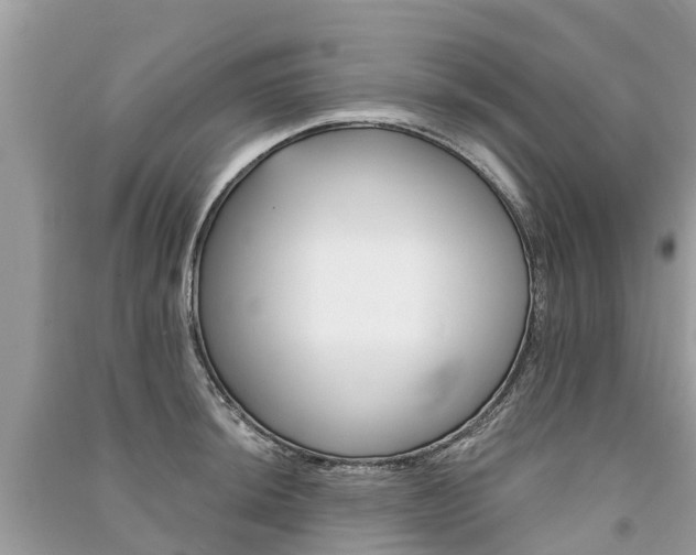 X0000091291044200708101022