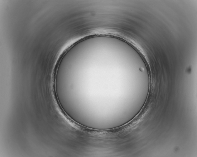 X0000091291045200708101022