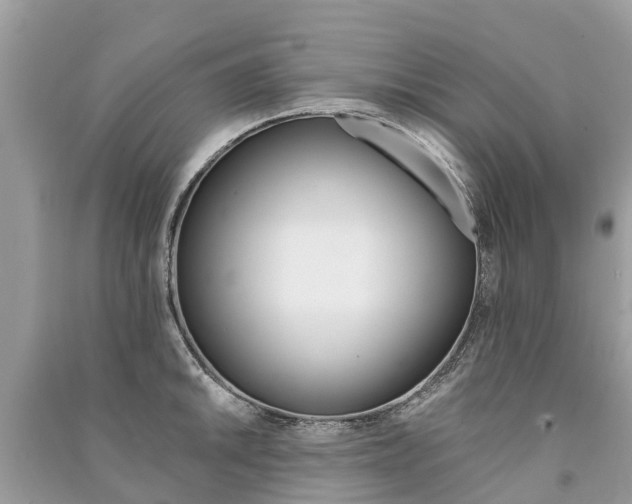 X0000091291046200708101022