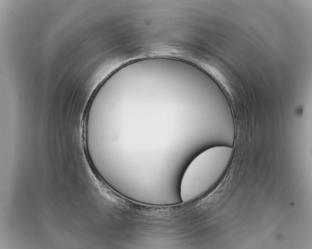 X0000091291047200708101022