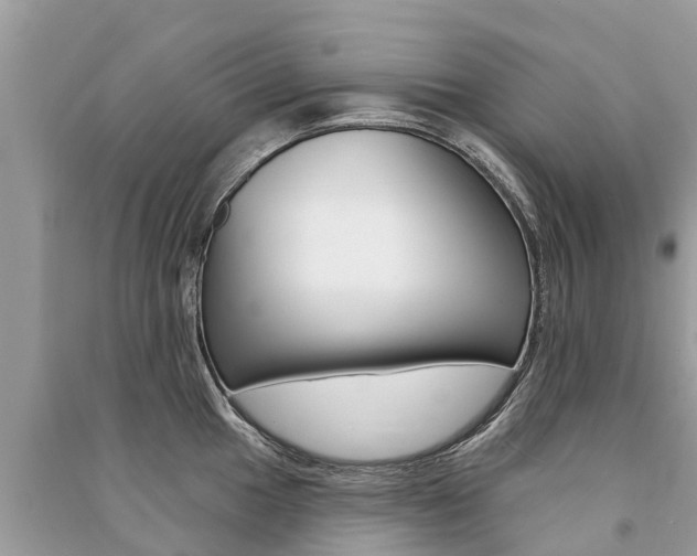 X0000091291049200708101022