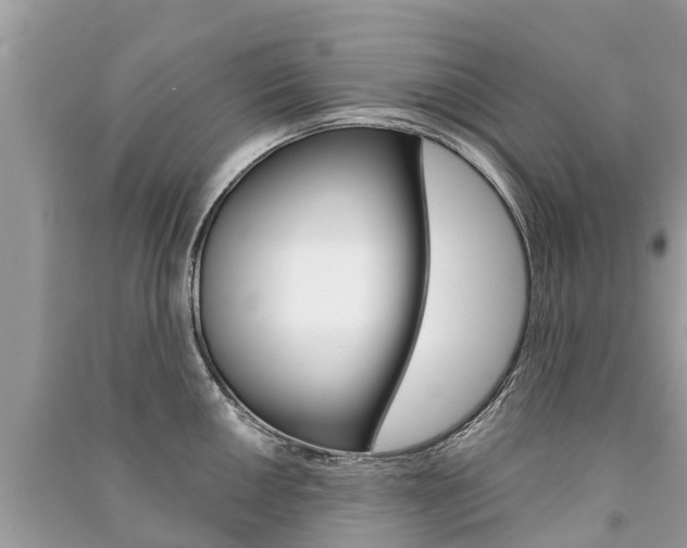 X0000091291050200708101022