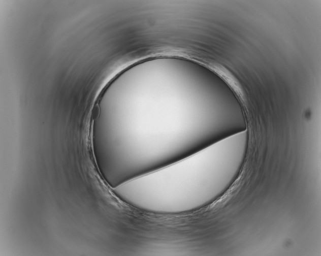 X0000091291052200708101022
