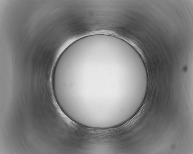 X0000091291054200708101022