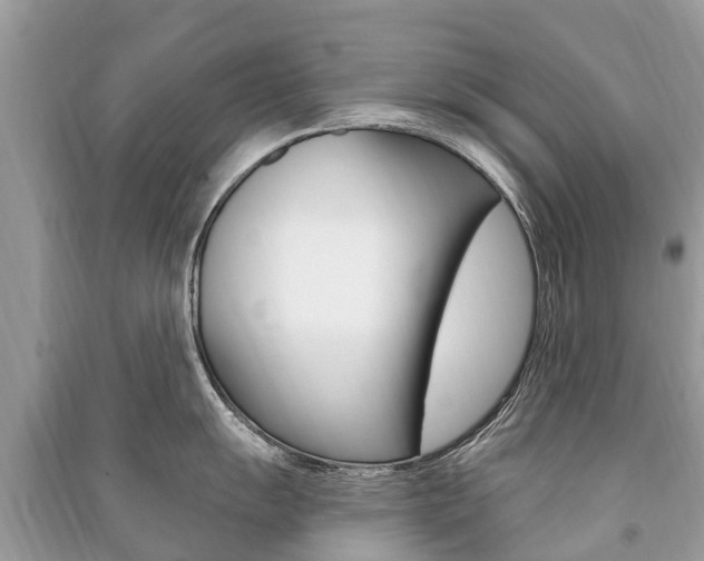 X0000091291055200708101022
