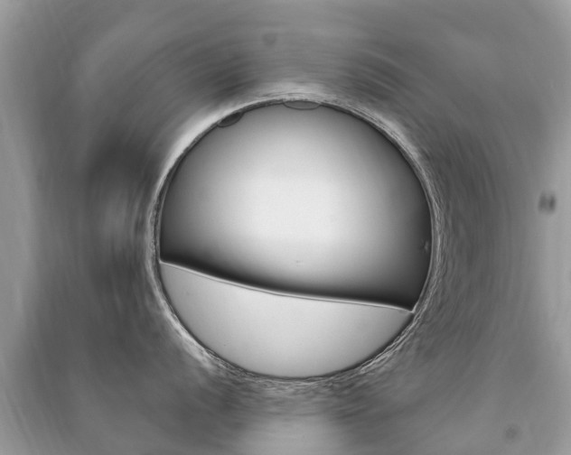 X0000091291056200708101022