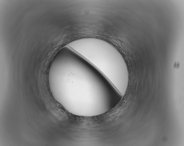 X0000091291057200708101021