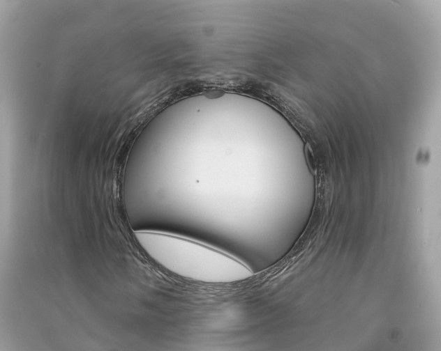 X0000091291058200708101021